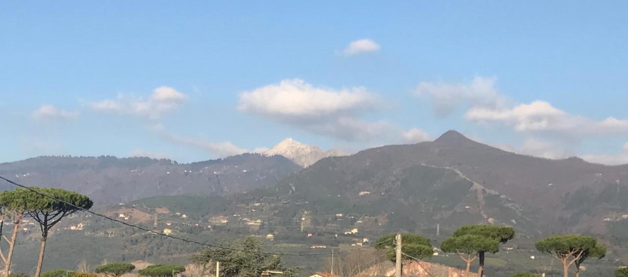 Apartmán Domus Zoe Forte dei Marmi Exteriér fotografie
